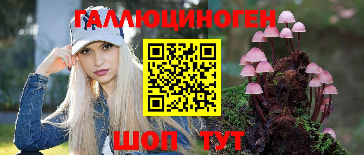 Конаково  Галлюциногенные грибы прущие грибы  Псилоцибиновые грибы Cubensis  Вход с VPN 